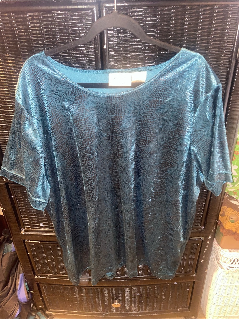Vintage 99s - velvet burnout/ boxy style top - plus-size